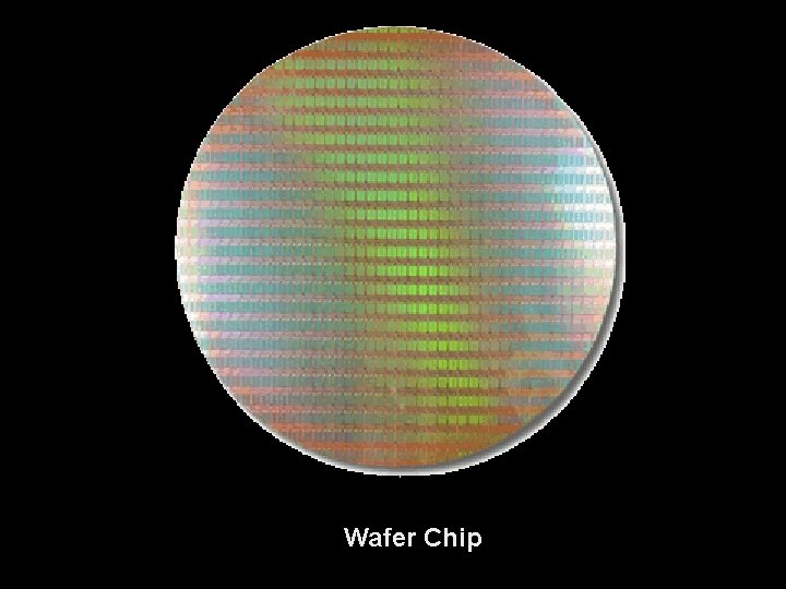 Wafer Chip 