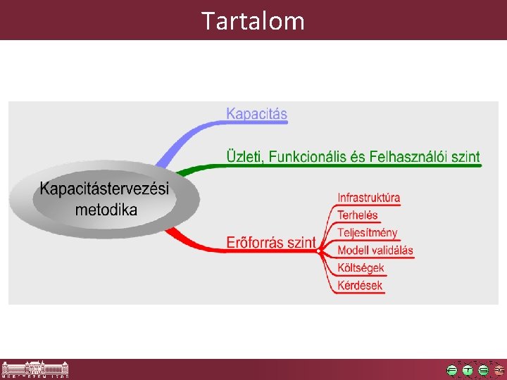 Tartalom 