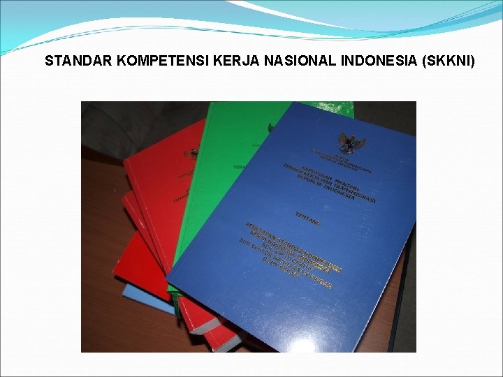 STANDAR KOMPETENSI KERJA NASIONAL INDONESIA (SKKNI) 