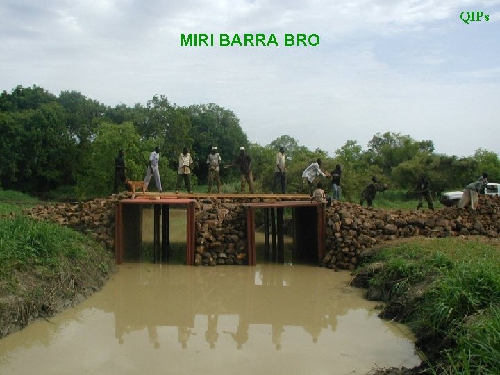 QIPs MIRI BARRA BRO 