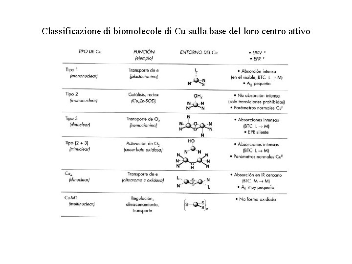 Classificazione di biomolecole di Cu sulla base del loro centro attivo 