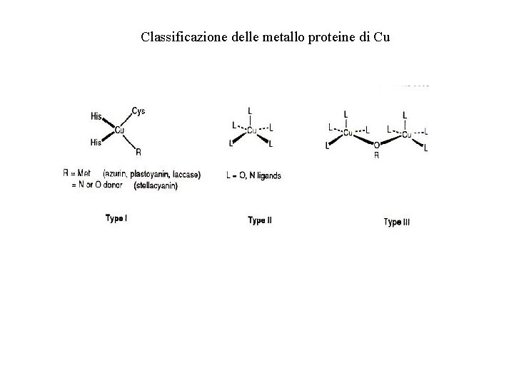 Classificazione delle metallo proteine di Cu 