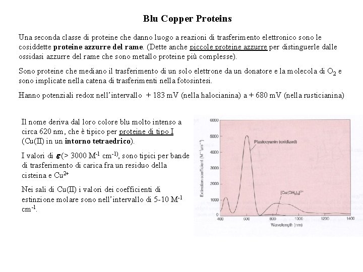 Blu Copper Proteins Una seconda classe di proteine che danno luogo a reazioni di