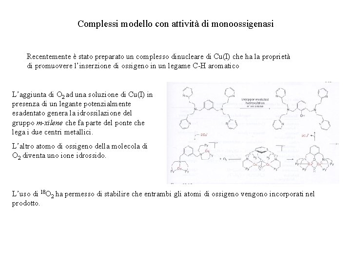 Complessi modello con attività di monoossigenasi Recentemente è stato preparato un complesso dinucleare di