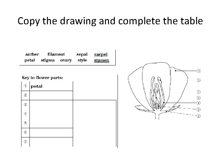 Copy the drawing and complete the table 