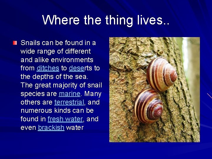 Where thing lives. . Snails can be found in a wide range of different