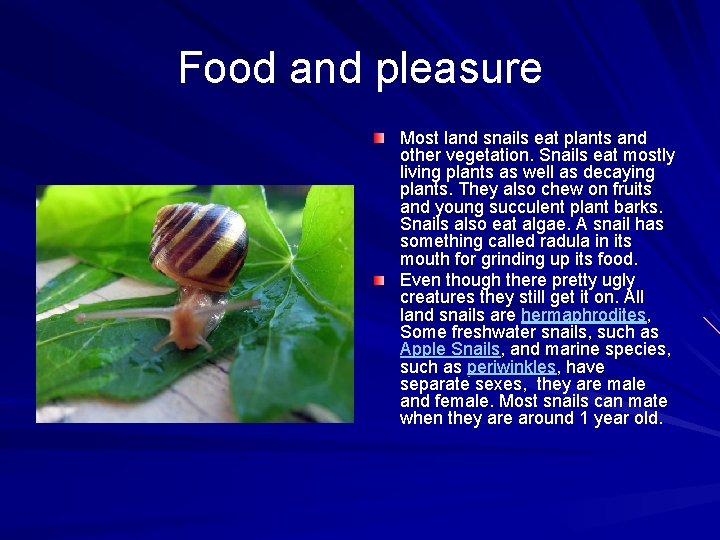 Food and pleasure Most land snails eat plants and other vegetation. Snails eat mostly