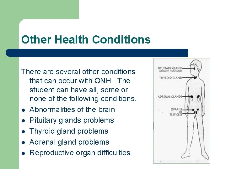 Other Health Conditions There are several other conditions that can occur with ONH. The