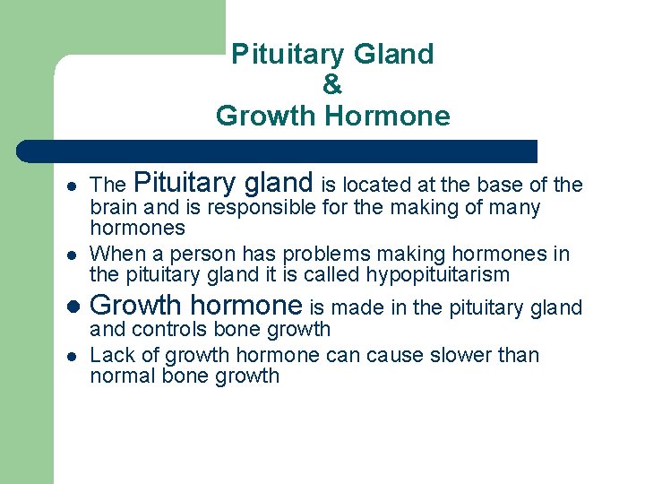 Pituitary Gland & Growth Hormone l l The Pituitary gland is located at the