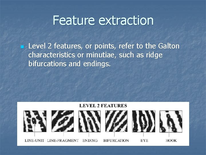 Feature extraction n Level 2 features, or points, refer to the Galton characteristics or