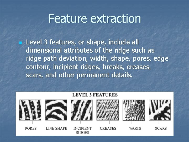 Feature extraction n Level 3 features, or shape, include all dimensional attributes of the