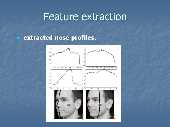 Feature extraction n extracted nose profiles. 