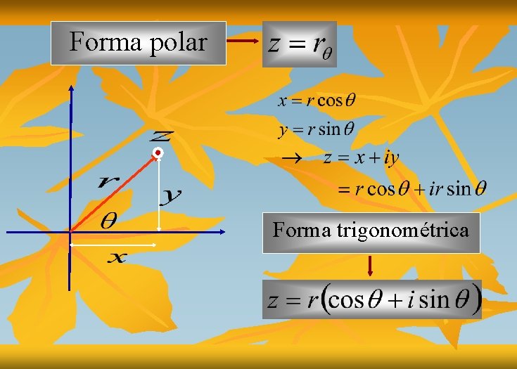 Forma polar Forma trigonométrica 