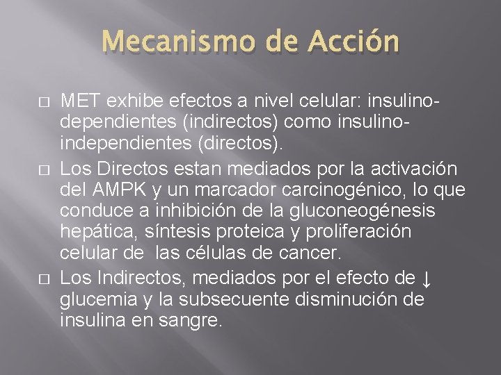 Mecanismo de Acción � � � MET exhibe efectos a nivel celular: insulinodependientes (indirectos)