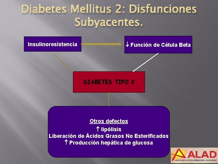 Diabetes Mellitus 2: Disfunciones Subyacentes. Insulinoresistencia Función de Célula Beta DIABETES TIPO 2 Otros