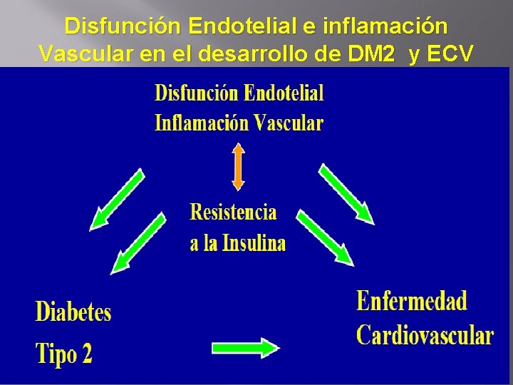 Disfunción Endotelial e inflamación Vascular en el desarrollo de DM 2 y ECV 