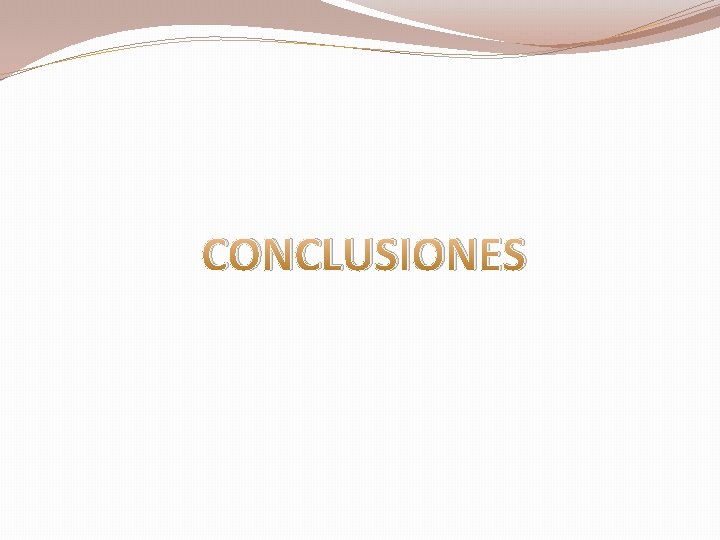 CONCLUSIONES 