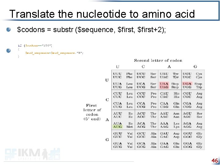 Translate the nucleotide to amino acid $codons = substr ($sequence, $first+2); 46 
