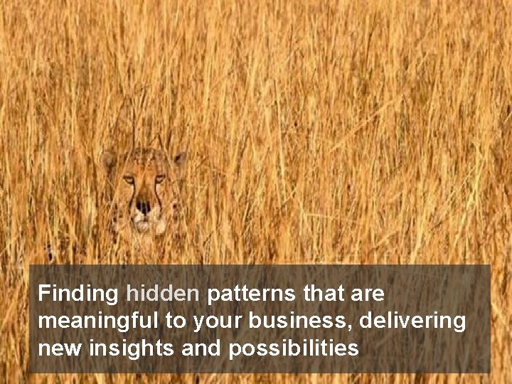 Finding hidden patterns that are meaningful to your business, delivering new insights and possibilities