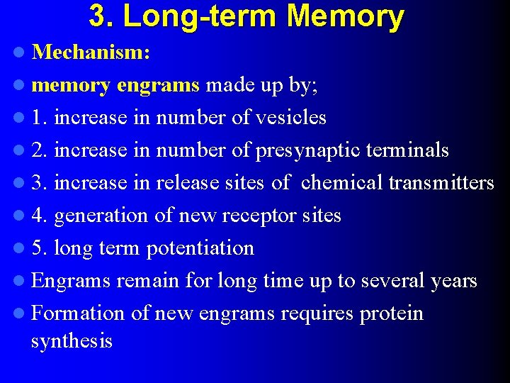 3. Long-term Memory l Mechanism: l memory engrams made up by; l 1. increase