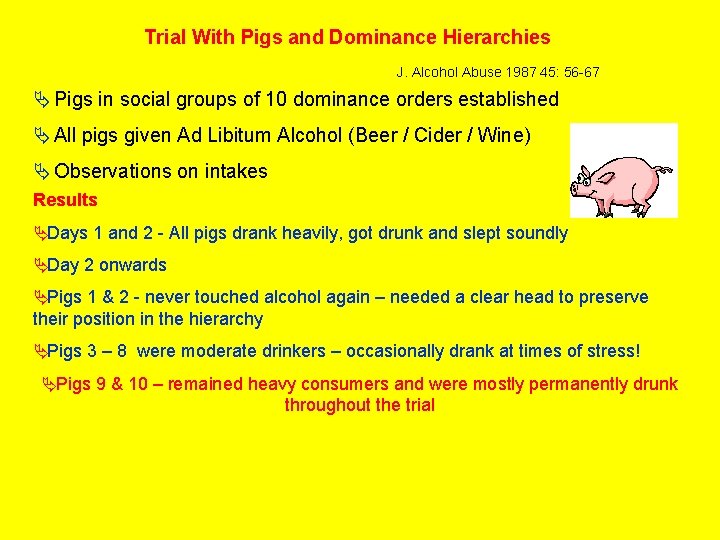 Trial With Pigs and Dominance Hierarchies J. Alcohol Abuse 1987 45: 56 -67 Ä
