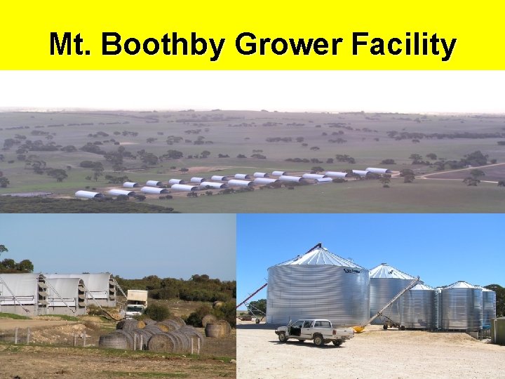 Mt. Boothby Grower Facility 