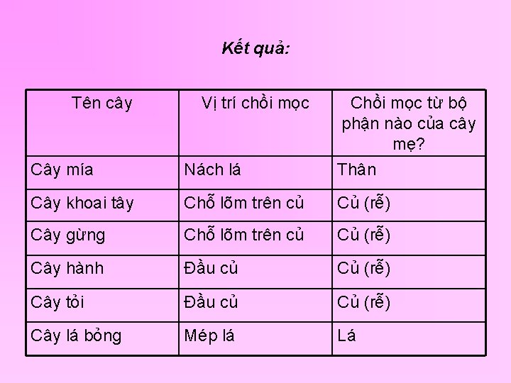Kết quả: Tên cây Vị trí chồi mọc Chồi mọc từ bộ phận nào