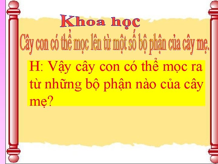 H: Vậy cây con có thể mọc ra từ những bộ phận nào của