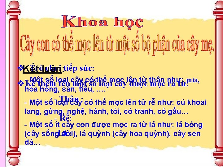 v. Kết Tròluận: chơi tiếp sức: Một số loại cây có thể mọc lên