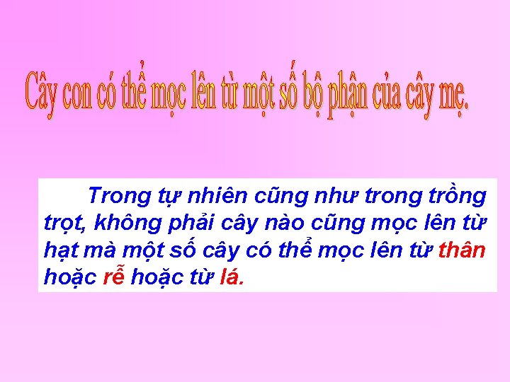 Trong tự nhiên cũng như trong trồng trọt, không phải cây nào cũng mọc
