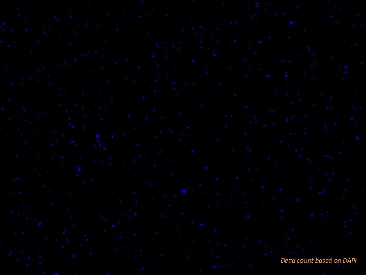 9. 1 x 105 non-viable cells pr. m. L Dead count based on DAPI 9. 1 x 105 non-viable cells pr. m. L Dead count based on DAPI