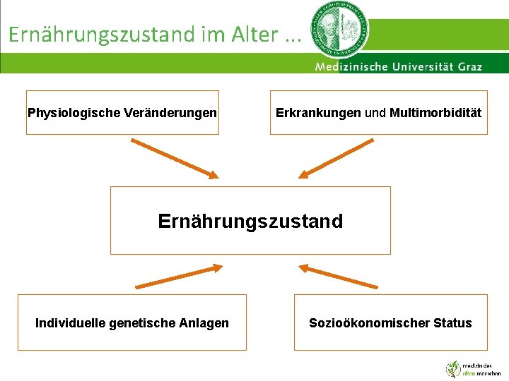 Ernährungszustand im Alter. . . Physiologische Veränderungen Erkrankungen und Multimorbidität Ernährungszustand Individuelle genetische Anlagen