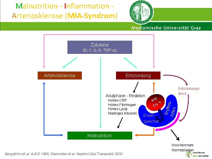Malnutrition - Inflammation Arteriosklerose (MIA-Syndrom) Zytokine (IL-1, IL-6, TNF-a) Entzündung Akutphase - Reaktion Hohes