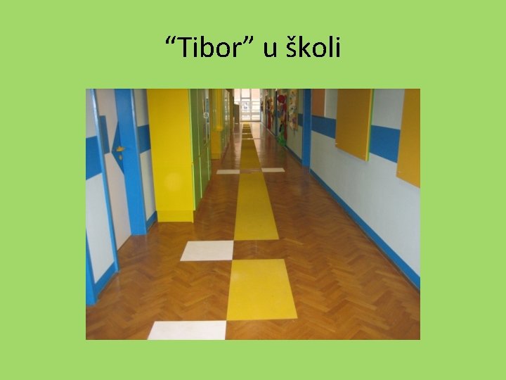 “Tibor” u školi 