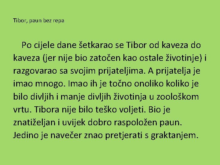 Tibor, paun bez repa Po cijele dane šetkarao se Tibor od kaveza do kaveza