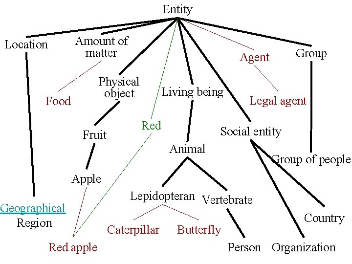 Entity Amount of matter Location Physical object Food Fruit Group Agent Living being Red