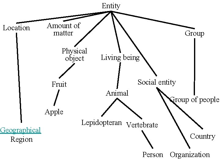 Entity Location Geographical Region Amount of matter Group Physical object Living being Social entity