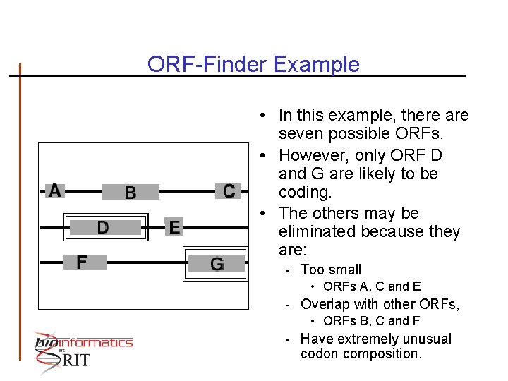 ORF-Finder Example • In this example, there are seven possible ORFs. • However, only