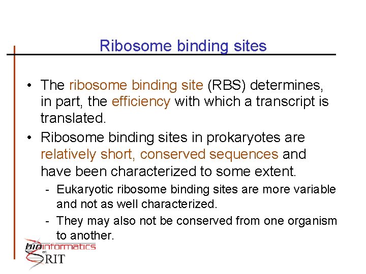 Ribosome binding sites • The ribosome binding site (RBS) determines, in part, the efficiency