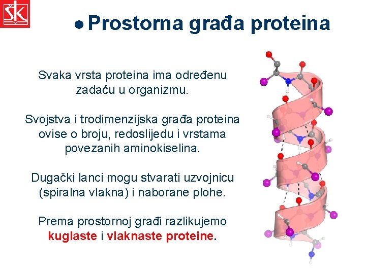 l Prostorna građa proteina Svaka vrsta proteina ima određenu zadaću u organizmu. Svojstva i