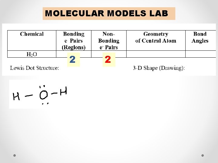 MOLECULAR MODELS LAB 2 2 