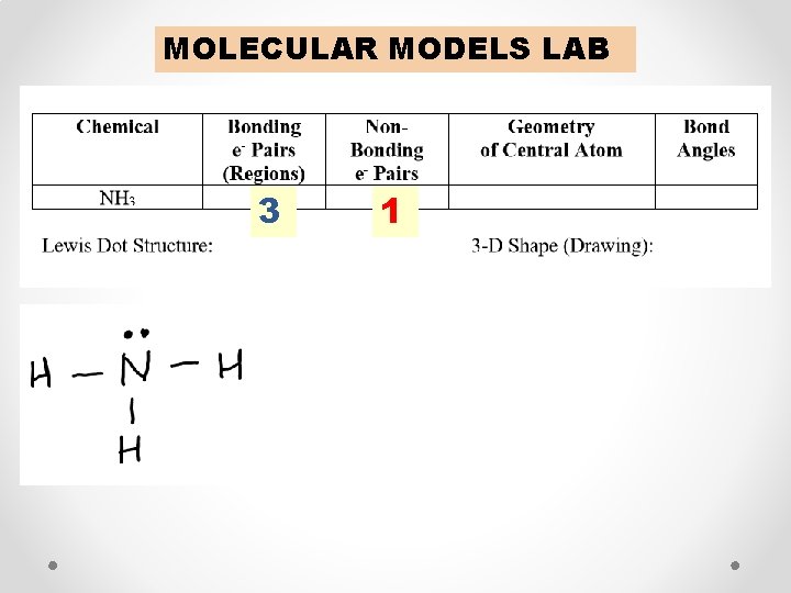 MOLECULAR MODELS LAB 3 1 