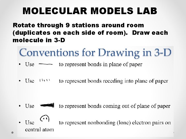 MOLECULAR MODELS LAB Rotate through 9 stations around room (duplicates on each side of