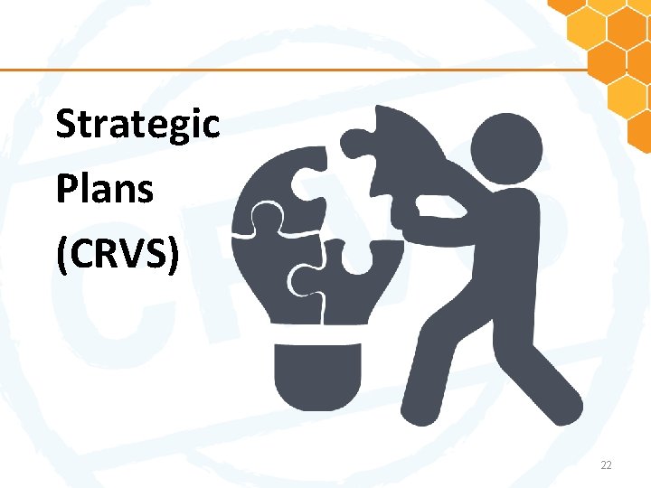 Strategic Plans (CRVS) 22 