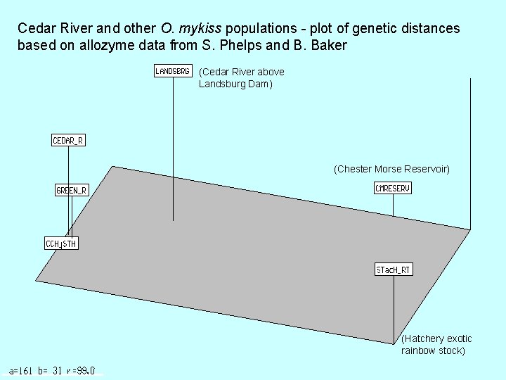 Cedar River and other O. mykiss populations - plot of genetic distances based on
