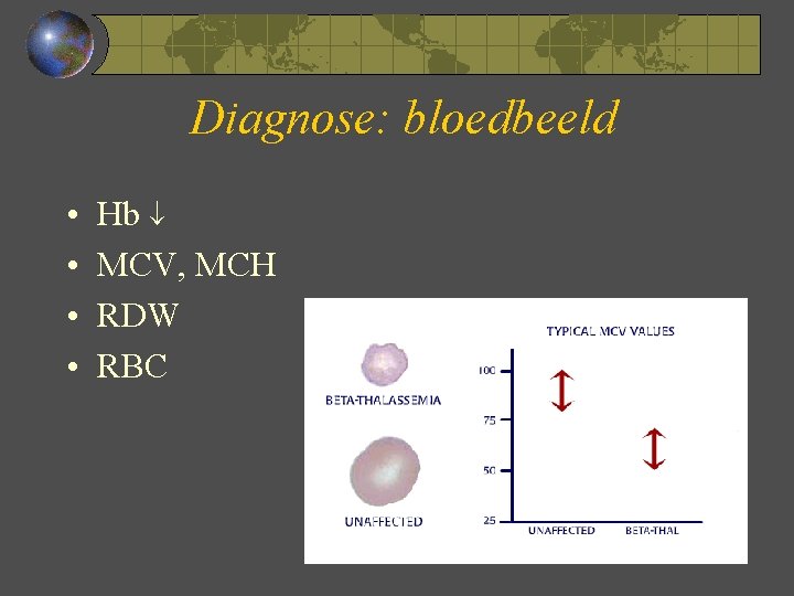 Diagnose: bloedbeeld • • Hb MCV, MCH RDW RBC 