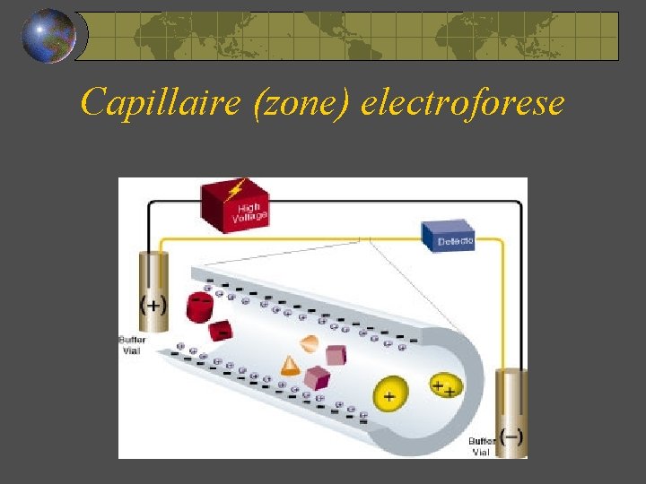 Capillaire (zone) electroforese 