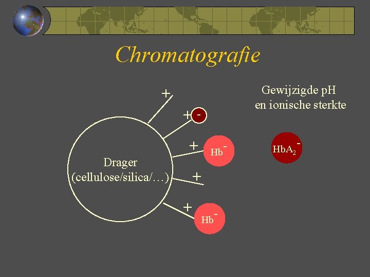 Chromatografie Gewijzigde p. H en ionische sterkte + ++ Drager (cellulose/silica/…) Hb + +