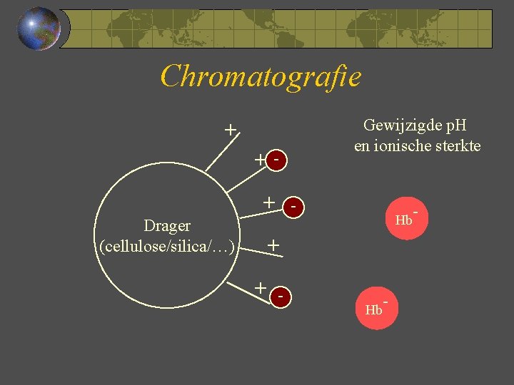 Chromatografie Gewijzigde p. H en ionische sterkte + ++ Drager (cellulose/silica/…) - Hb +