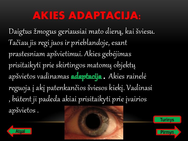 AKIES ADAPTACIJA: Daigtus žmogus geriausiai mato dieną, kai šviesu. Tačiau jis regi juos ir